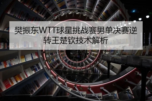樊振东WTT球星挑战赛男单决赛逆转王楚钦技术解析