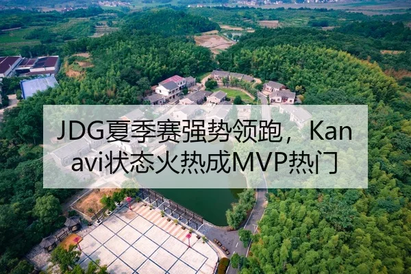 JDG夏季赛强势领跑，Kanavi状态火热成MVP热门