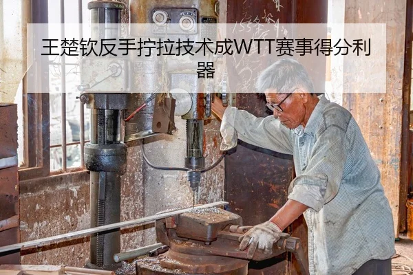 王楚钦反手拧拉技术成WTT赛事得分利器
